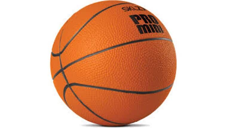 7″ Mini Basketball | Rental