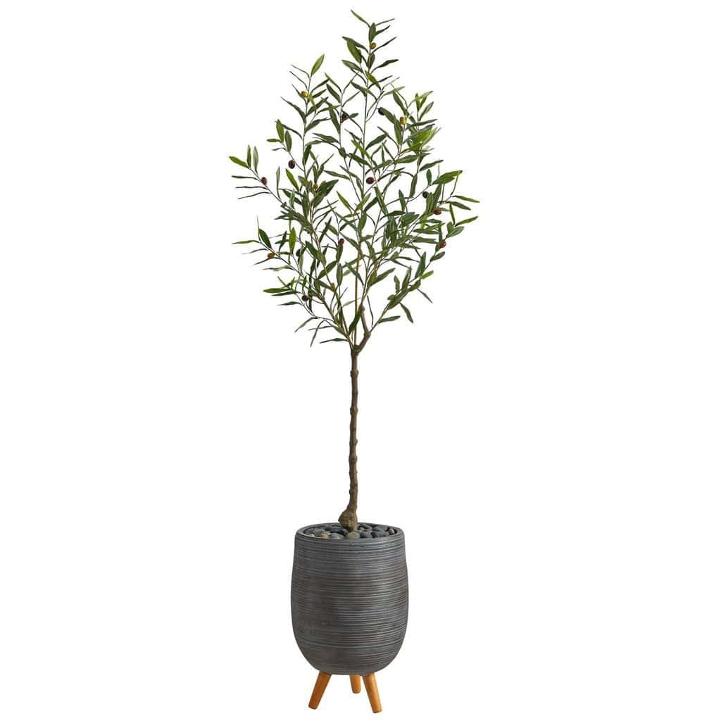 70” Olive Artificial Tree in Gray Planter with Stand | Rental