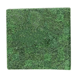 Boxwood Backdrop – 10′ x 10′ | Rental