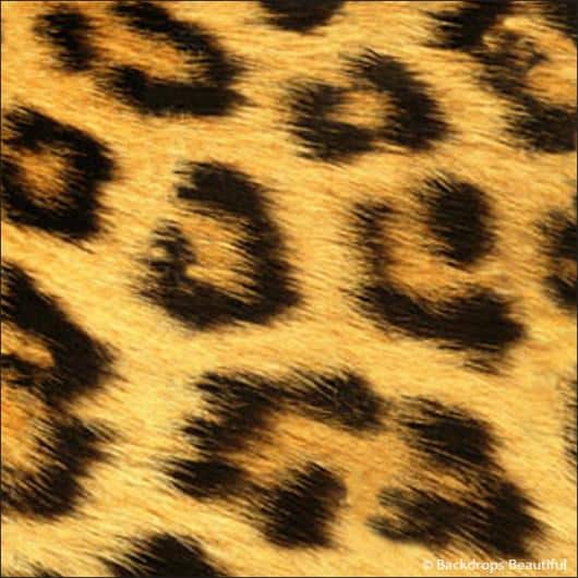 Skin Leopard 3 | Rental