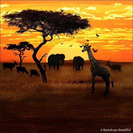 African Savannah 1 | Rental