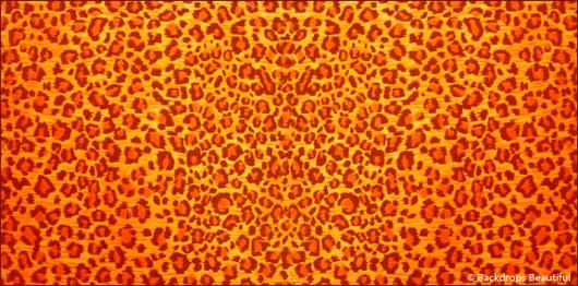 Skin Cheetah 2 | Rental