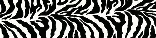 Skin Zebra 4 | Rental