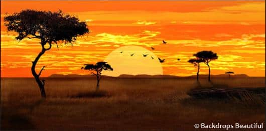 African Savannah 2 | Rental