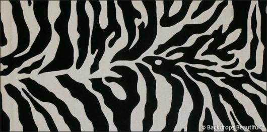 Skin Zebra 1 | Rental