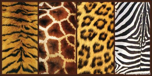 Skin Animal Panel | Rental