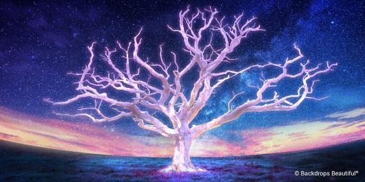 Tree of Life 2 | Rental