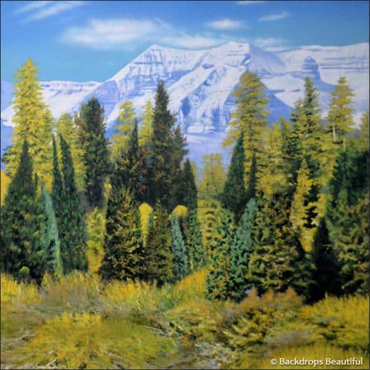 Aspen Mountains  1B | Rental
