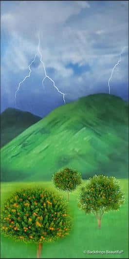 Spring Storms | Rental