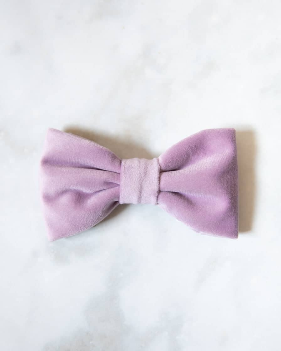 Foggy Dog – Lilac Velvet Dog Bow Tie | Rental