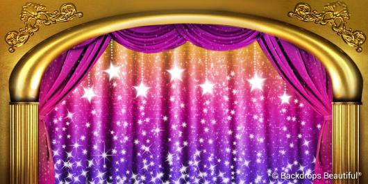 Sparkling Drapes 5 | Rental