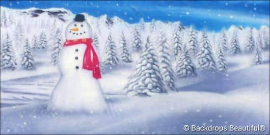 Snowman 5 | Rental