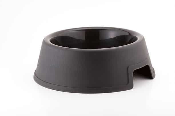 Plastic Dog Bowl / Metal Detector Bowl | Rental